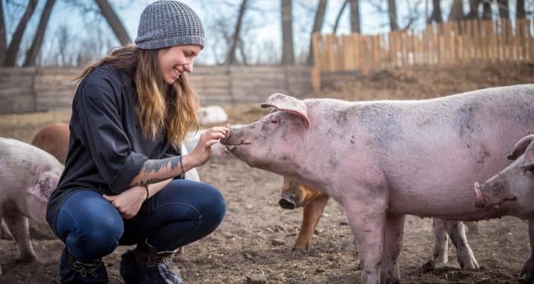 A chef smiles as she reaches to touch a pig's nose.