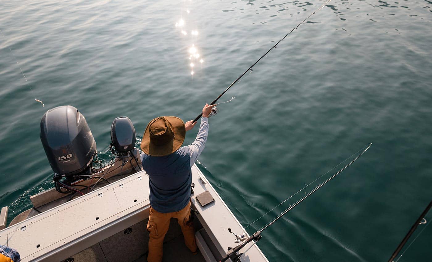 Fish in alpine waters