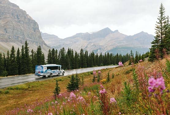 A tour bus drives along a road below tall mountains.