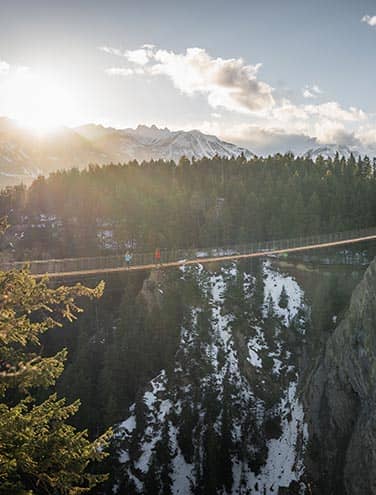 Golden Skybridge