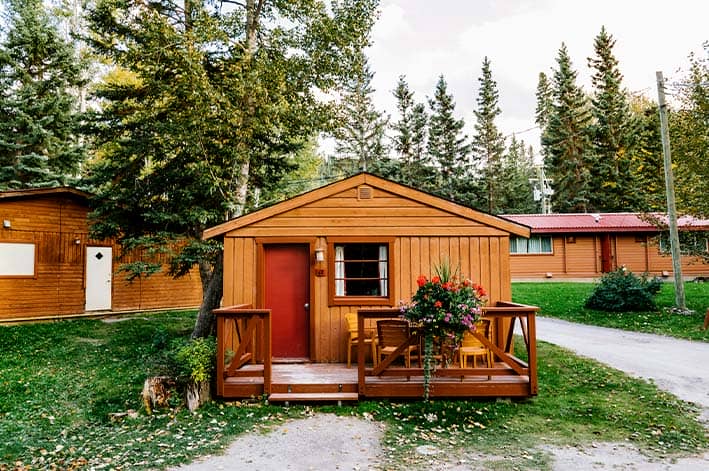 A set of wooden cabins underneath conifer trees