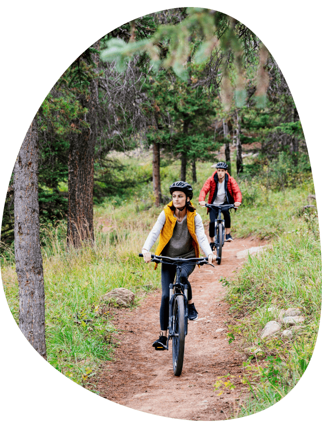 Mountain bikers on a trail between conifer trees.